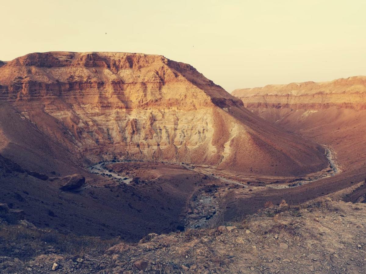 Dead Sea Desert'S Edge Арад Екстериор снимка